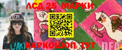 a pvp Сланцы