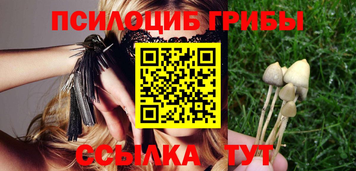 Северск  Псилоцибиновые грибы мухоморы  Псилоцибиновые грибы мицелий  Вход с VPN 