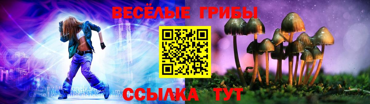 Псилоцибиновые грибы ЛСД Северск