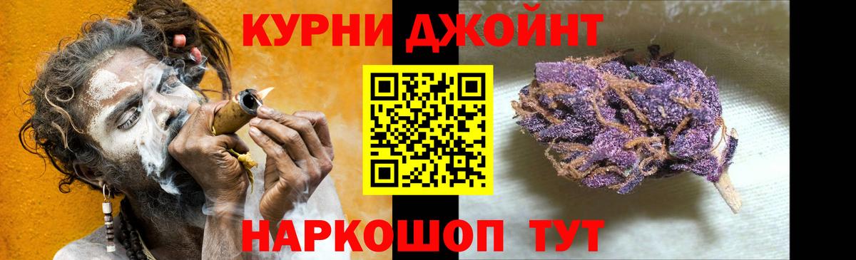 Конопля план  Вход с VPN  Канабис сатива  Северск 